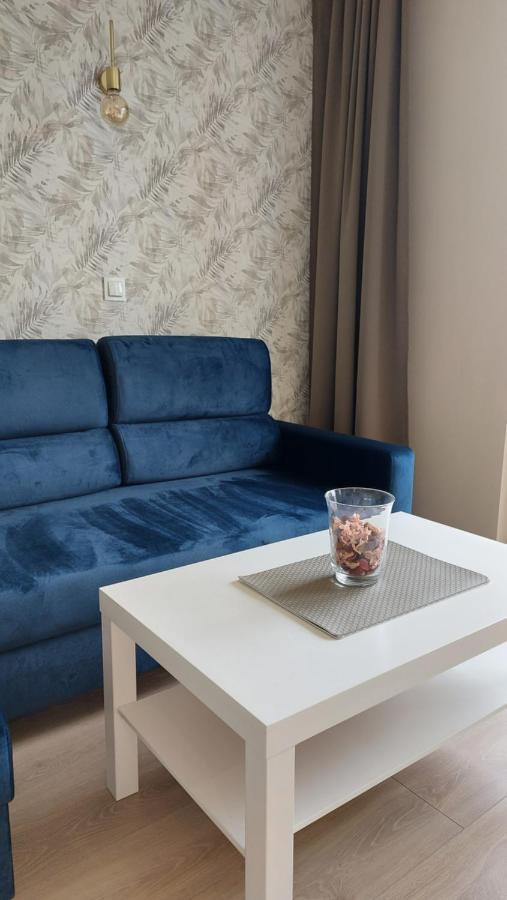Apartament Skamander Stary Toruń المظهر الخارجي الصورة